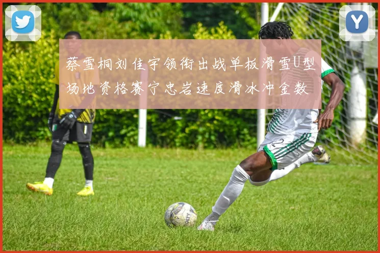 蔡雪桐刘佳宇领衔出战单板滑雪U型场地资格赛宁忠岩速度滑冰冲金数据全解析